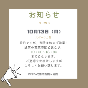 10.13